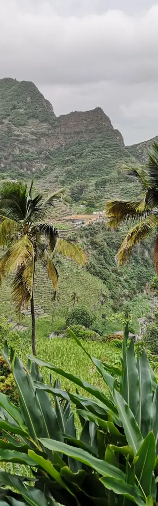Zentral- und Westafrika
